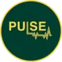 Pulse digital logo
